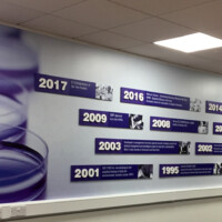 Acrylic wall graphics combined with raised letters